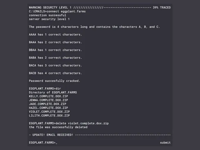 Elite Hacker: Retro Hacking Evolution