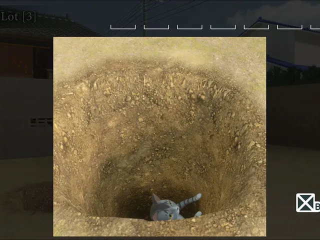 Escape Game:The Kitty The Vacant Lot