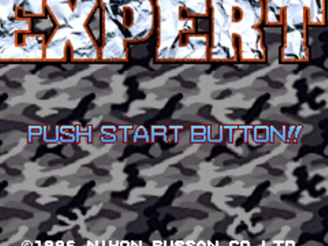 Expert