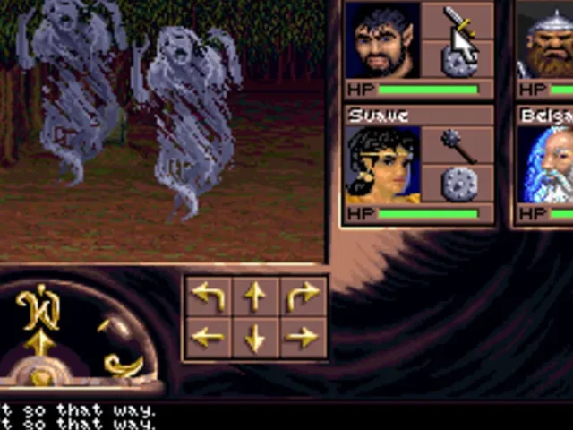 Eye of the Beholder III: Assault on Myth Drannor