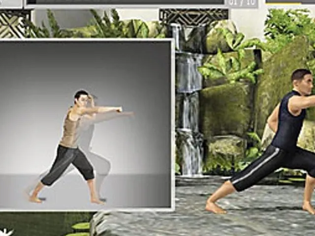 EyeToy: Kinetic Combat