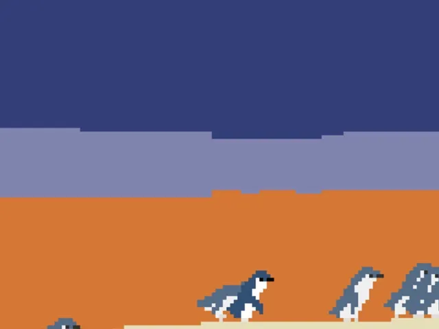 Fairy Penguin Parade