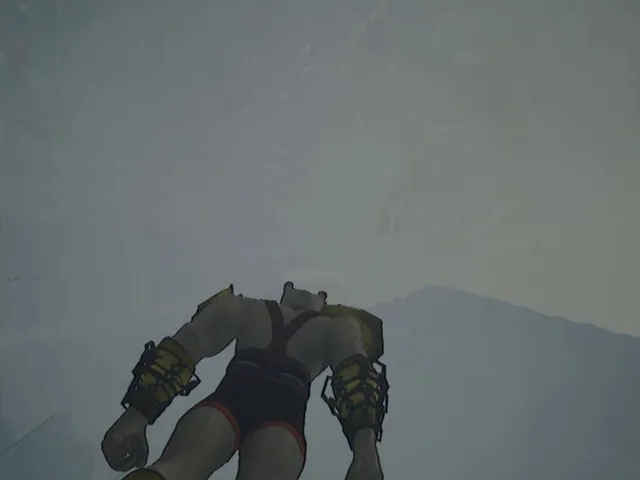 FallinBara