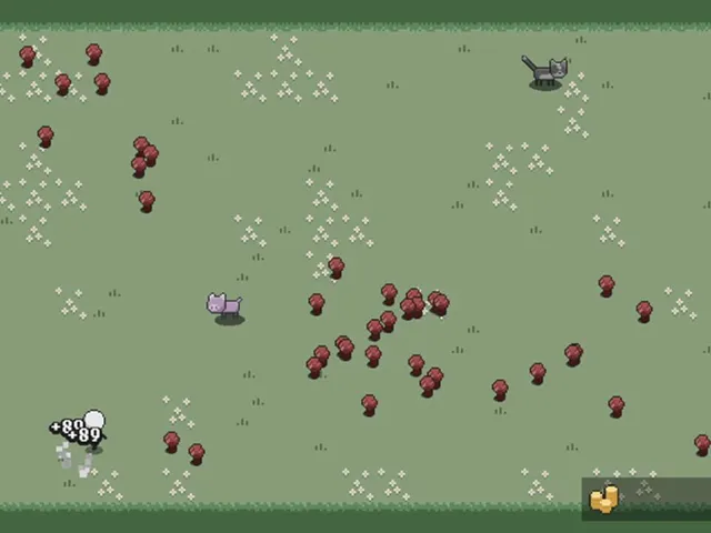 Farming Mushroom