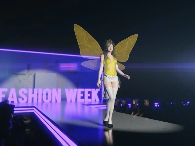 Fashion Designer