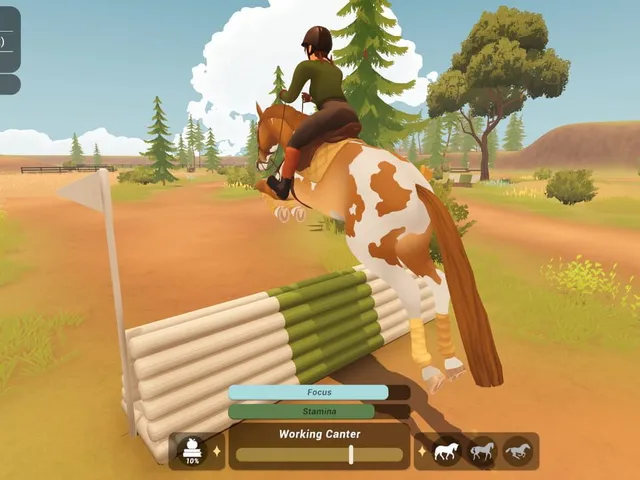 Fernhoof Grove: Riding Academy