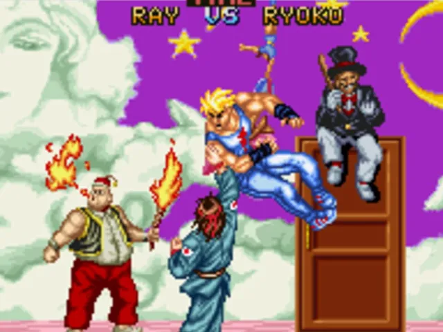 Fighter's History