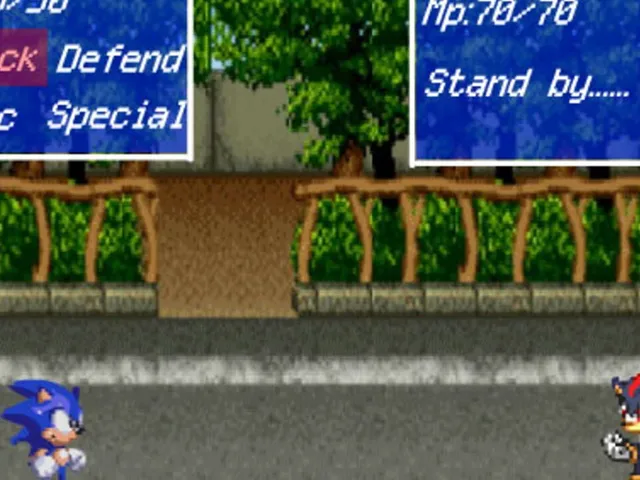 Final Fantasy Sonic X: Episode 1
