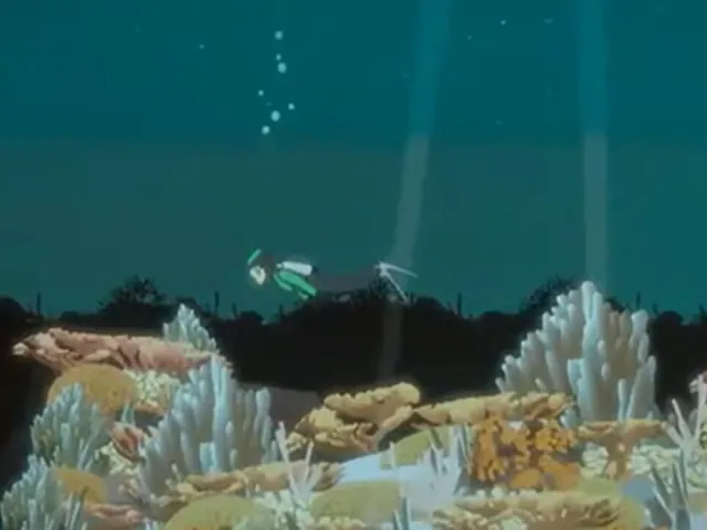 Find the Whales