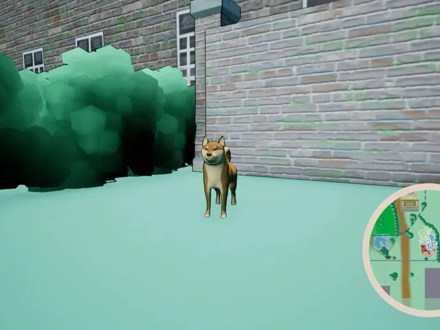 Finding Hooman