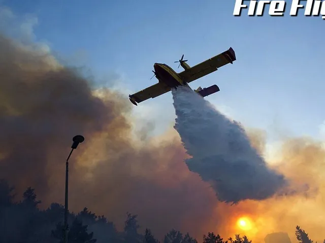 Fire Flight