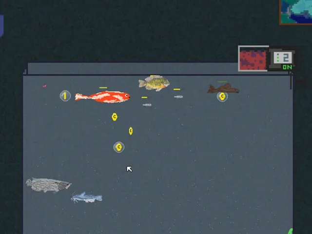 Fish & Bubbles