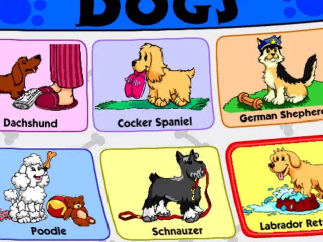 Fisher-Price: Time To Play - Pet Shop