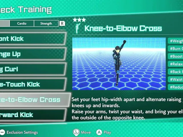 Fitness Circuit