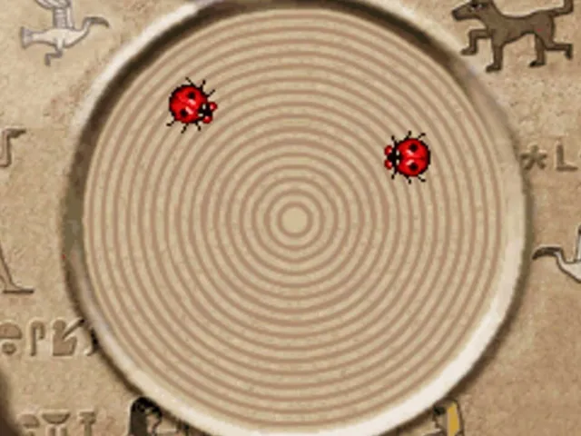 Flame Beetles