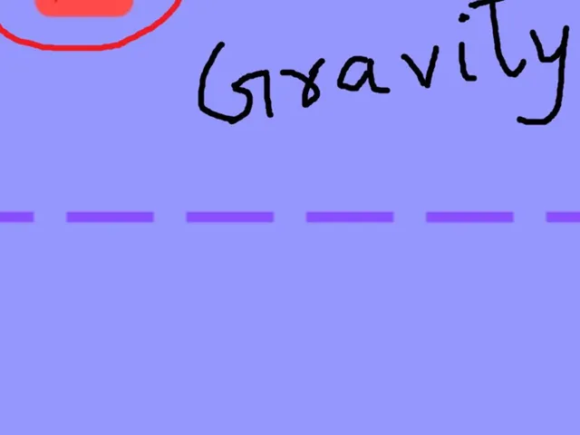 Flappy Gravity
