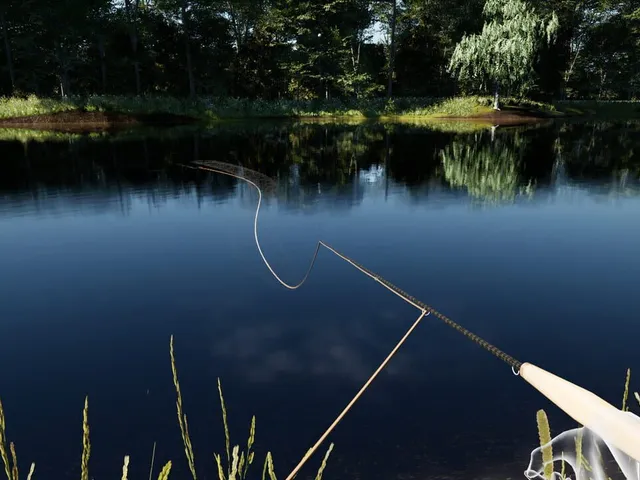 Fly Caster VR