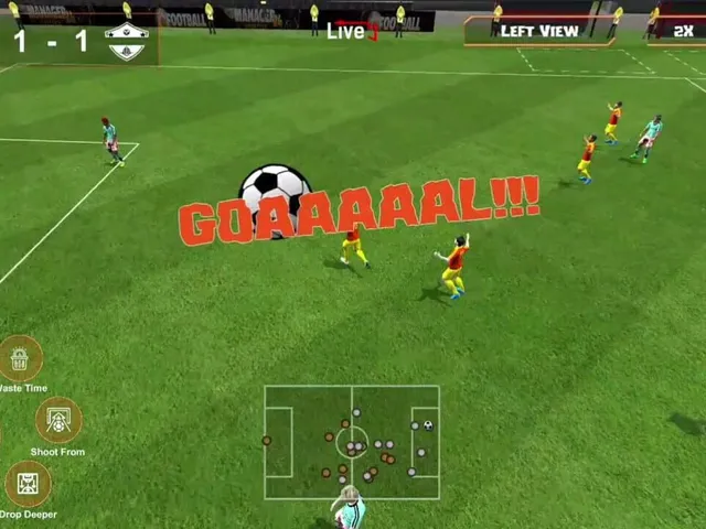 Football Manager Lifestyle 24