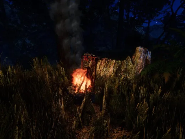 Forest
