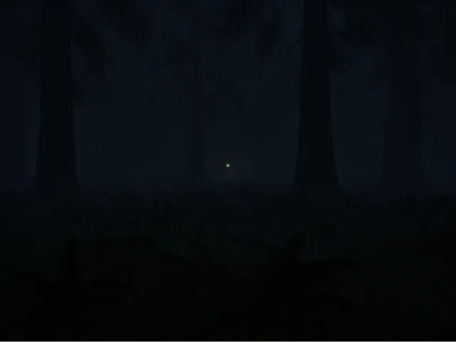 Forest: The Call For Help