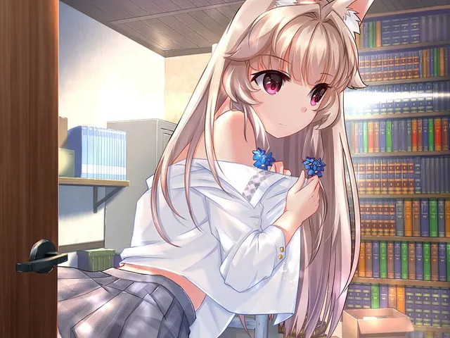 Fox Hime