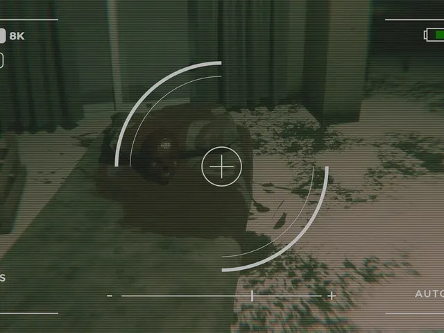 Fractured Perception