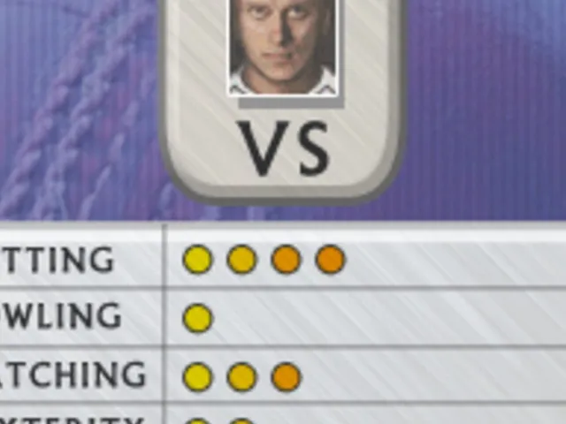 Freddie Flintoff's Power Play Cricket
