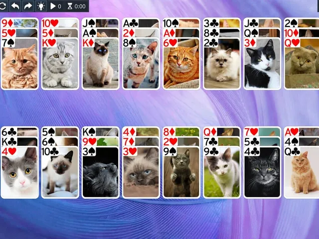 Free Solitaire