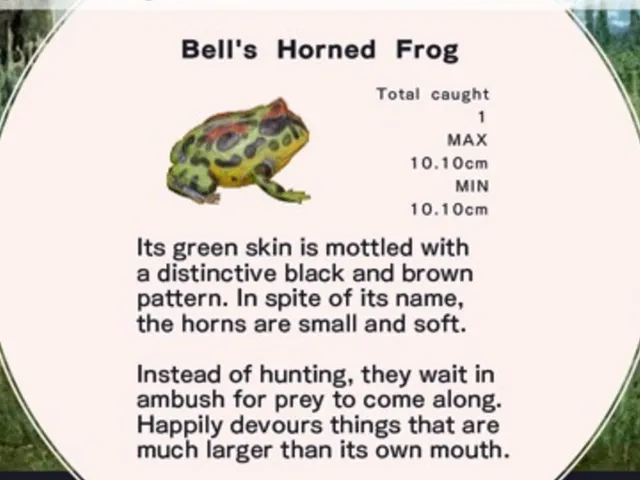 Frog Minutes