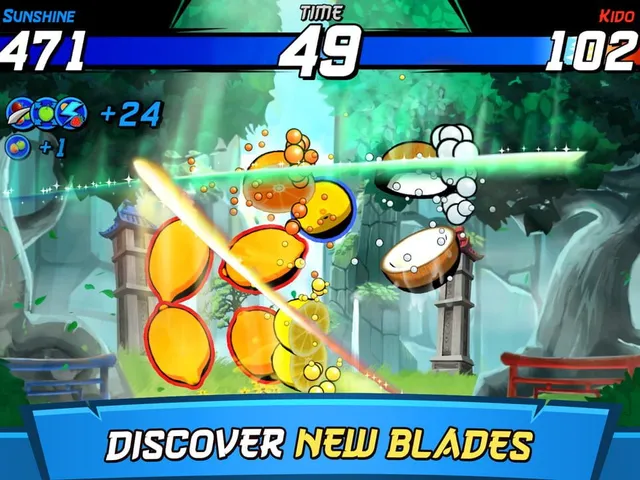Fruit Ninja Fight