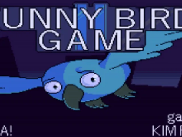 Funny Bird Game 2