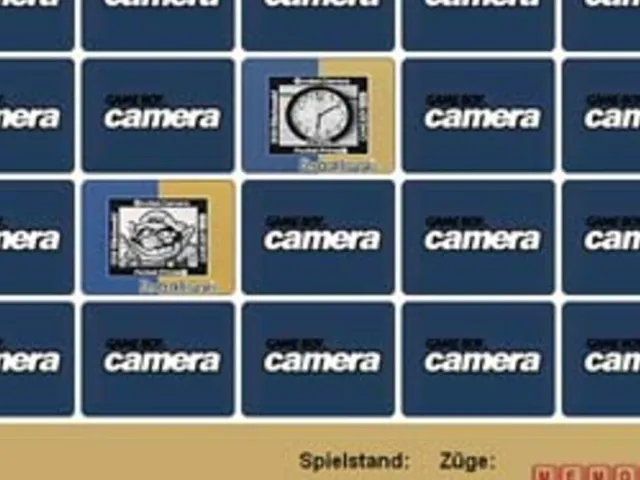 Game Boy Camera Memory