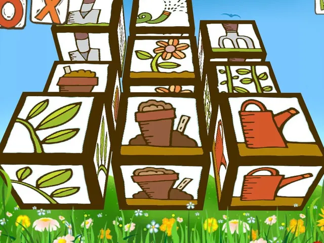 Garden Box