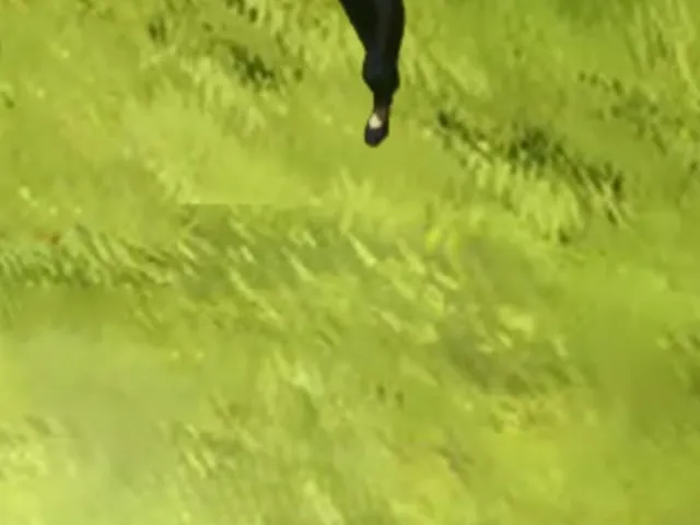 Garou Sliding Simulator