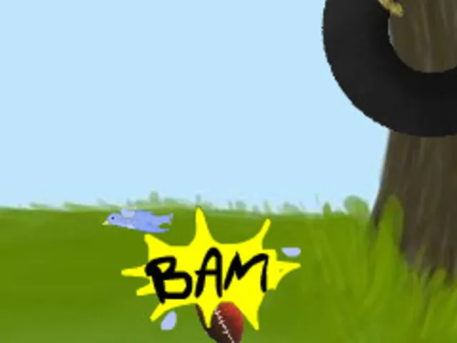 Geico Football