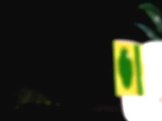 Ghaib