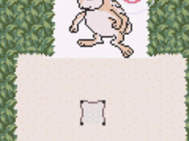 Go Catch 'Em
