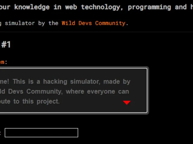 Hacking Simulator
