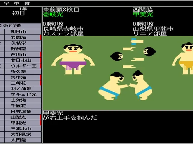Hakoniwa Sumo