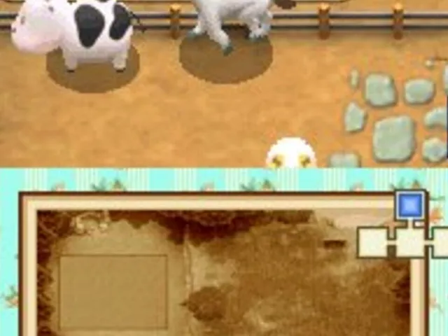 Harvest Moon DS: Grand Bazaar