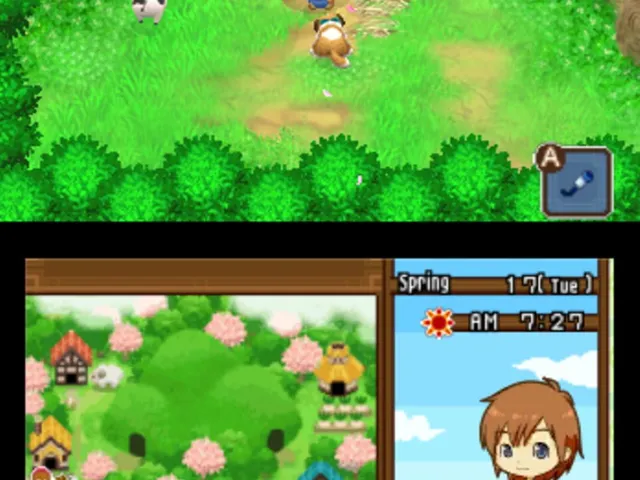 Harvest Moon: The Tale of Two Towns
