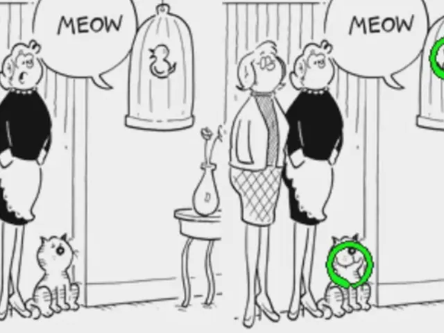 Heathcliff: Spot On