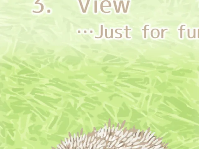 Hedgehog Pet