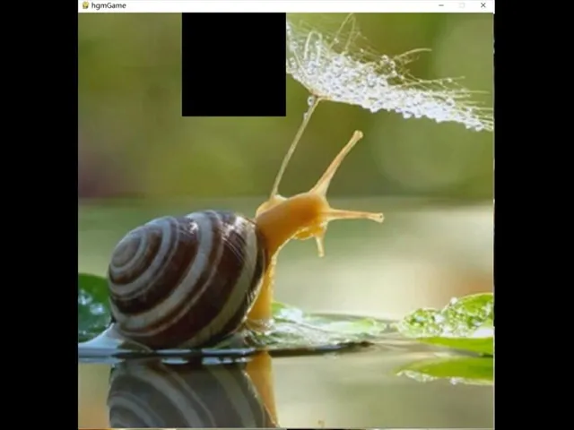 HgmGame-Snail