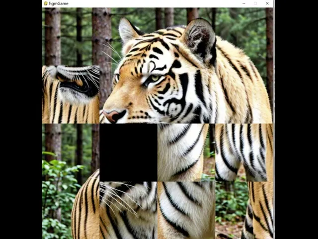 HgmGame-Tiger