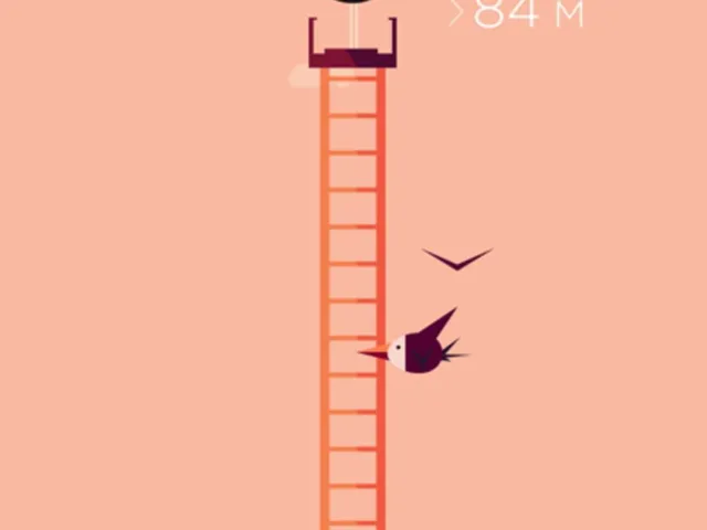 High Dive