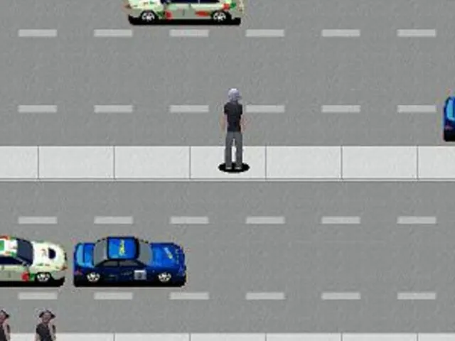 Highway Crossing Madruga