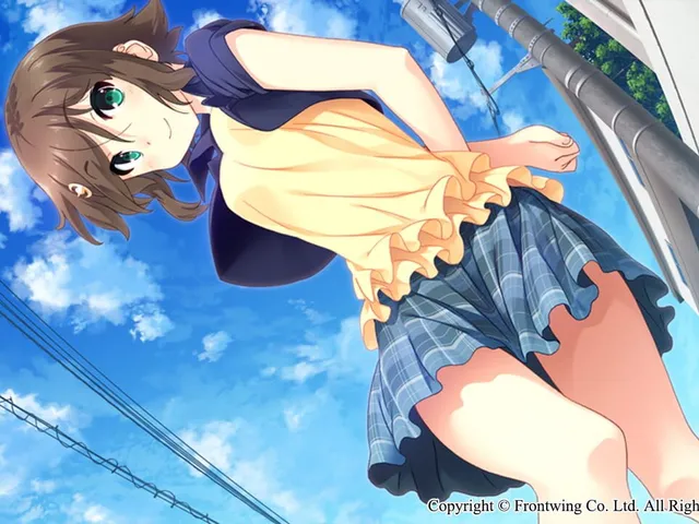 Himawari: The Sunflower