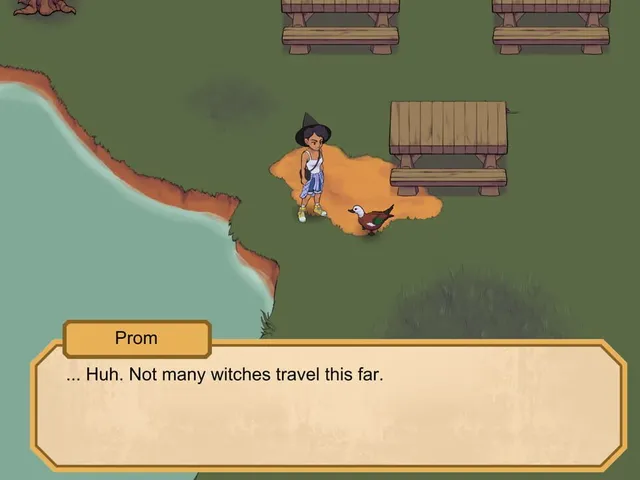 HipWitch