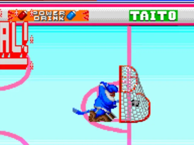Hit the Ice: The Video Hockey League